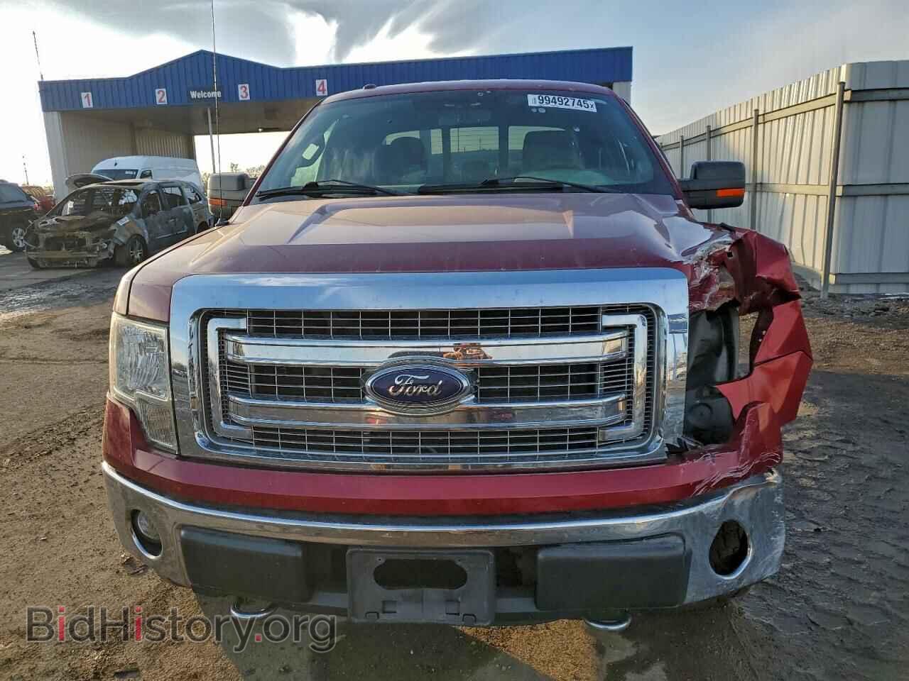 2013 FORD F-150 - VIN: 1FTFX1EF2DFD25325 - Фото 5