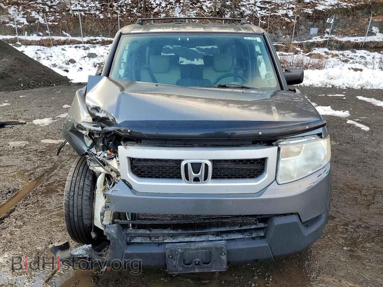 2010 HONDA ELEMENT - VIN: 5J6YH2H78AL006406 - Фото 5