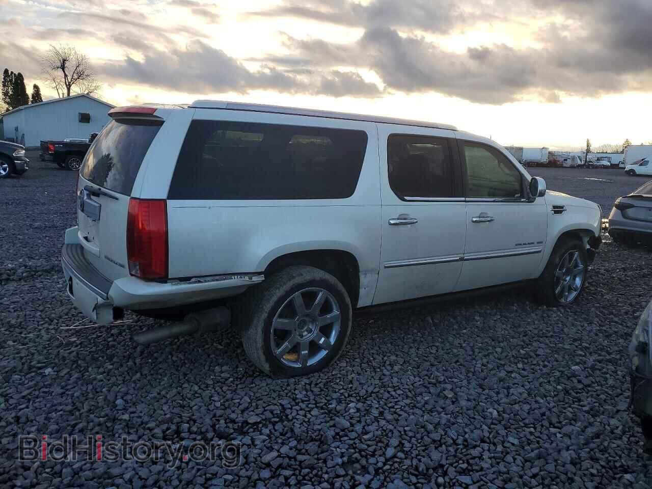 2010 CADILLAC ESCALADE - VIN: 1GYUCJEFXAR201150 - Фото 3