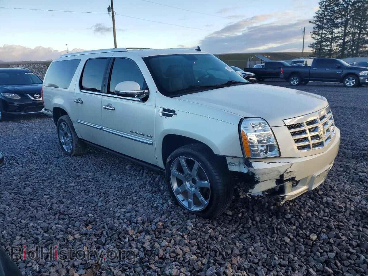 2010 CADILLAC ESCALADE - VIN: 1GYUCJEFXAR201150 - Фото 4