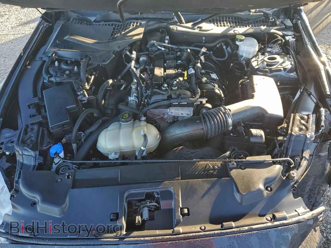 2022 FORD ALL Models - VIN: 1FA6P8TH1N5147109 - Фото 11