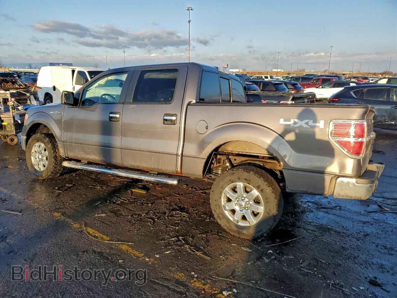 2014 FORD F-150 - VIN: 1FTFW1EF1EFB75986 - Фото 2