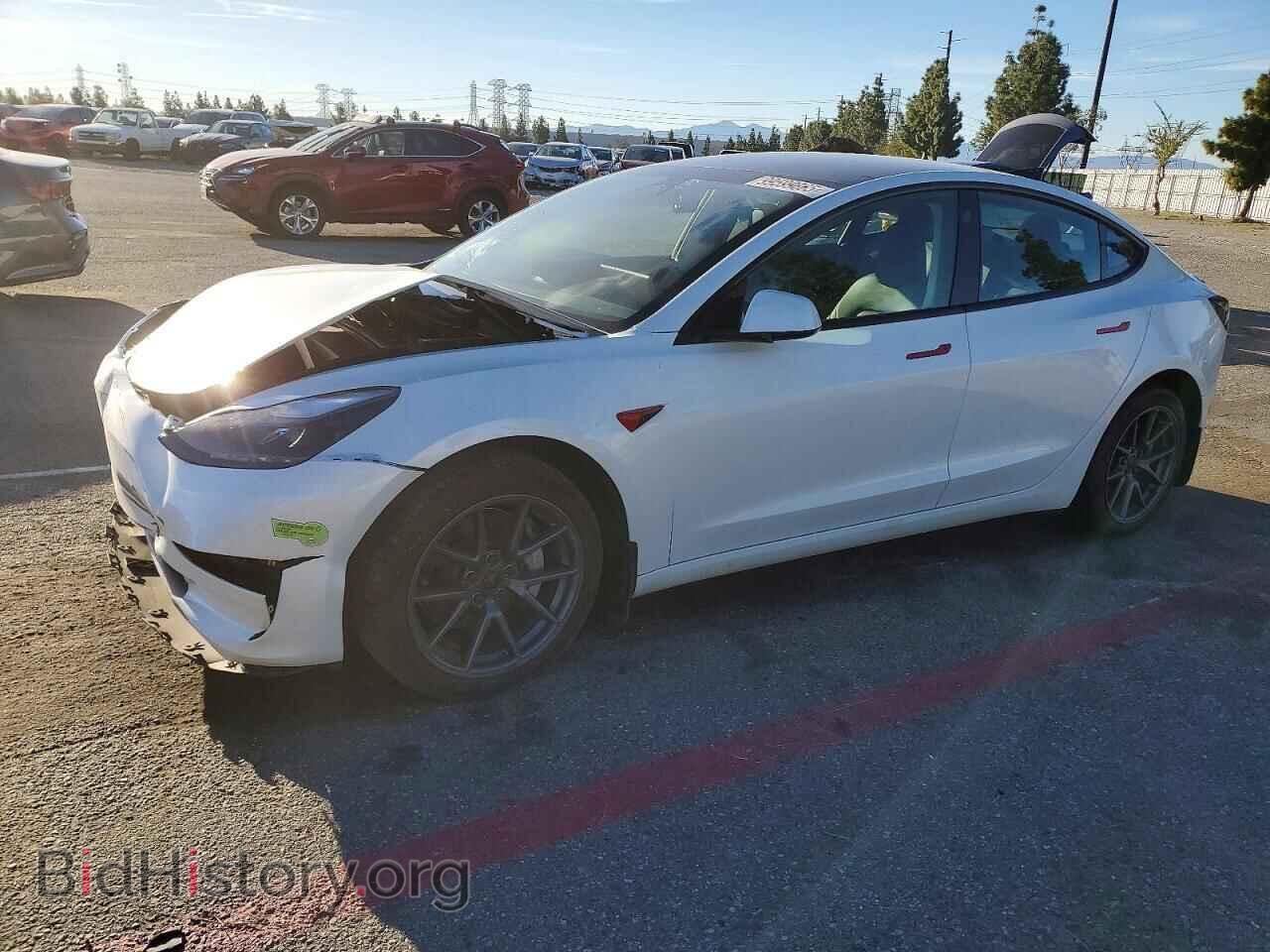 Photo 5YJ3E1EA7PF546313 - TESLA MODEL 3 2023