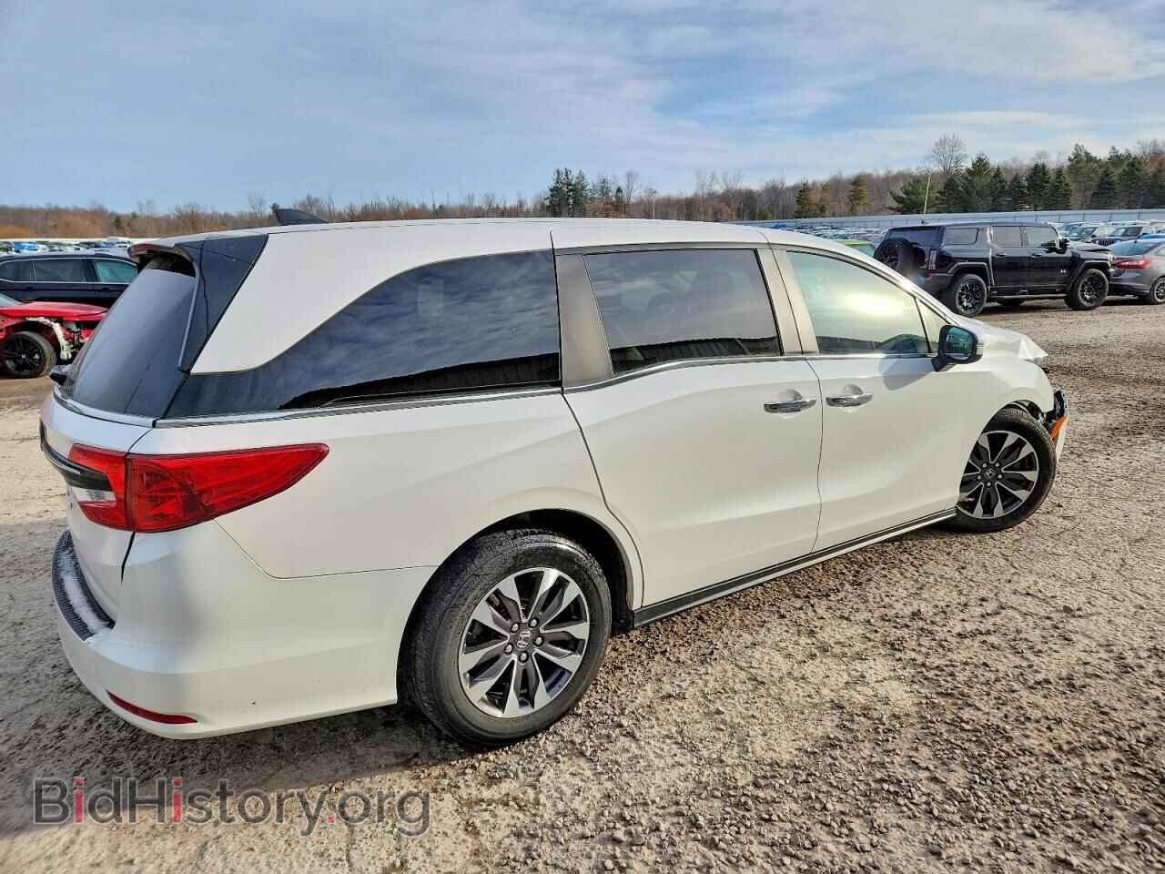 2024 HONDA All Models - VIN: 5FNRL6H66RB073186 - Фото 3