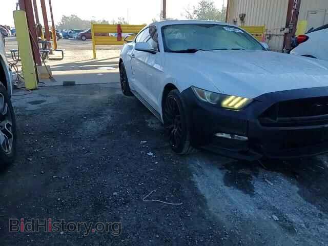 2016 FORD ALL Models - VIN: 1FA6P8AM3G5210441 - Photo 14