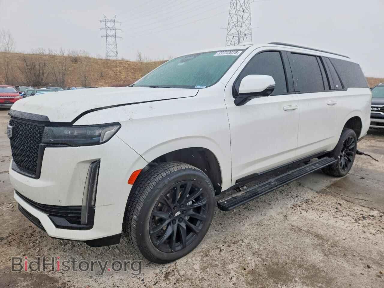 Фотография 1GYS4RKL1PR245771 - CADILLAC ESCALADE 2023