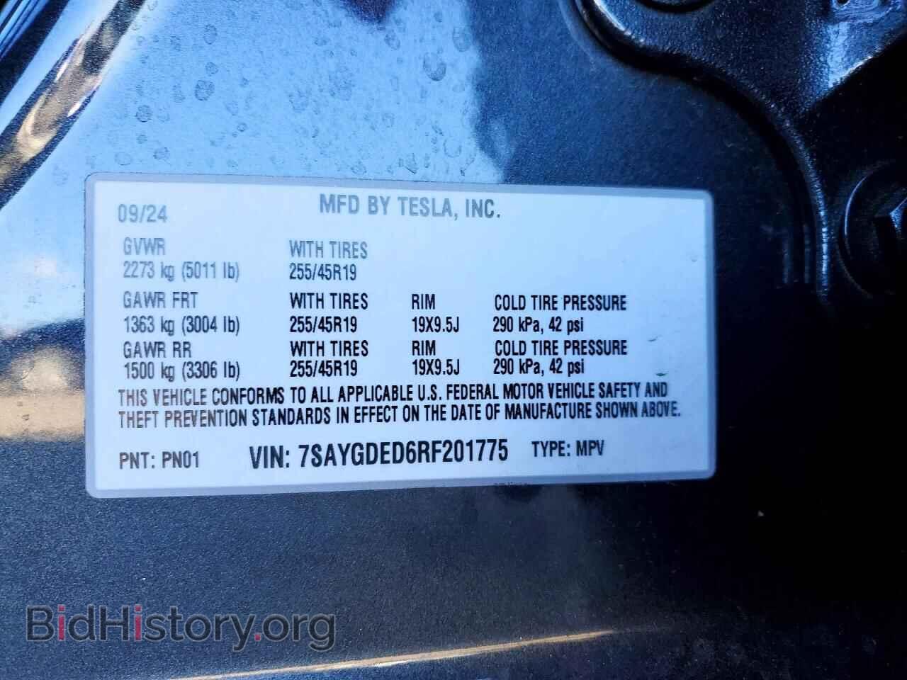 2024 TESLA MODEL Y - VIN: 7SAYGDED6RF201775 - Фото 12