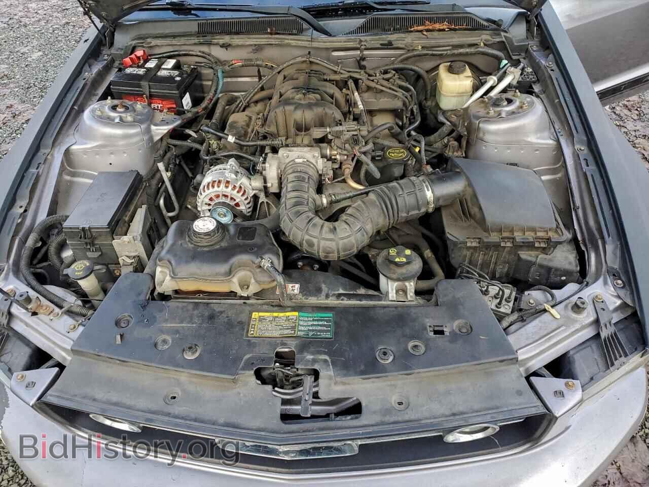 2006 FORD ALL Models - VIN: 1ZVFT80N465231522 - Фото 11