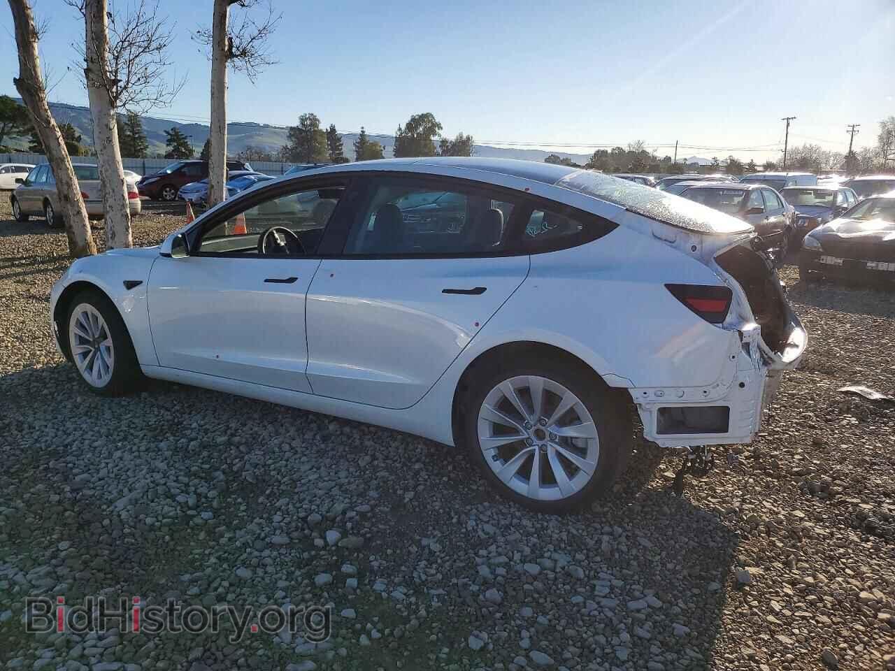 2023 TESLA MODEL 3 - VIN: 5YJ3E1EA0PF615679 - Photo 2