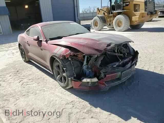 2017 FORD ALL Models - VIN: 1FA6P8TH2H5256828 - Фото 13
