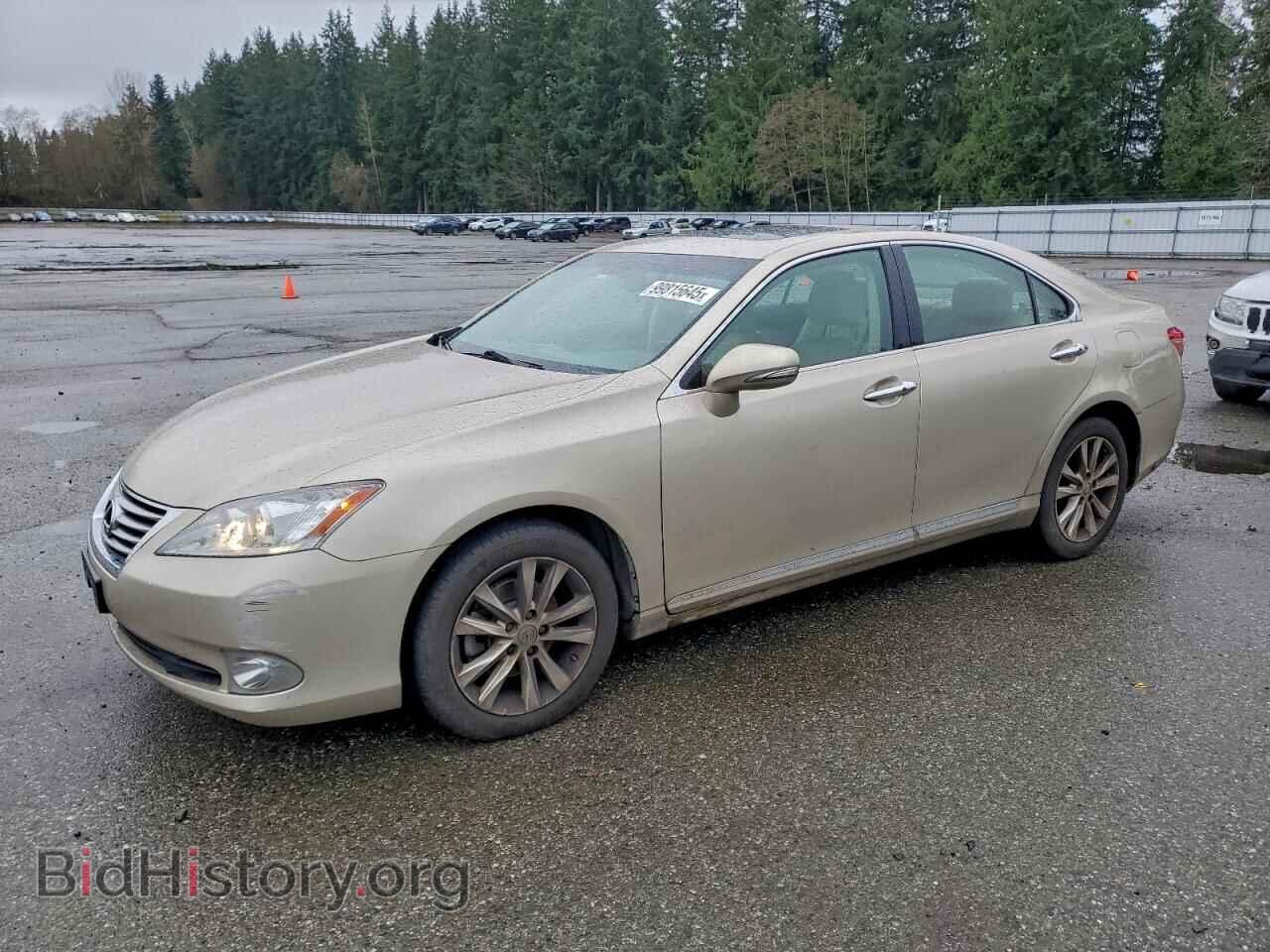 Фотография JTHBK1EG9A2344770 - LEXUS ES350 2010