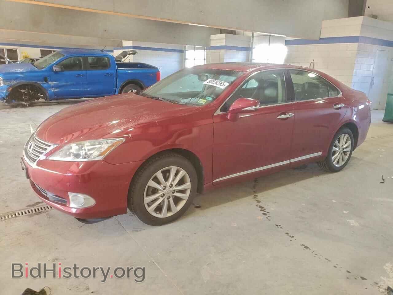Фотография JTHBK1EG2C2489149 - LEXUS ES350 2012