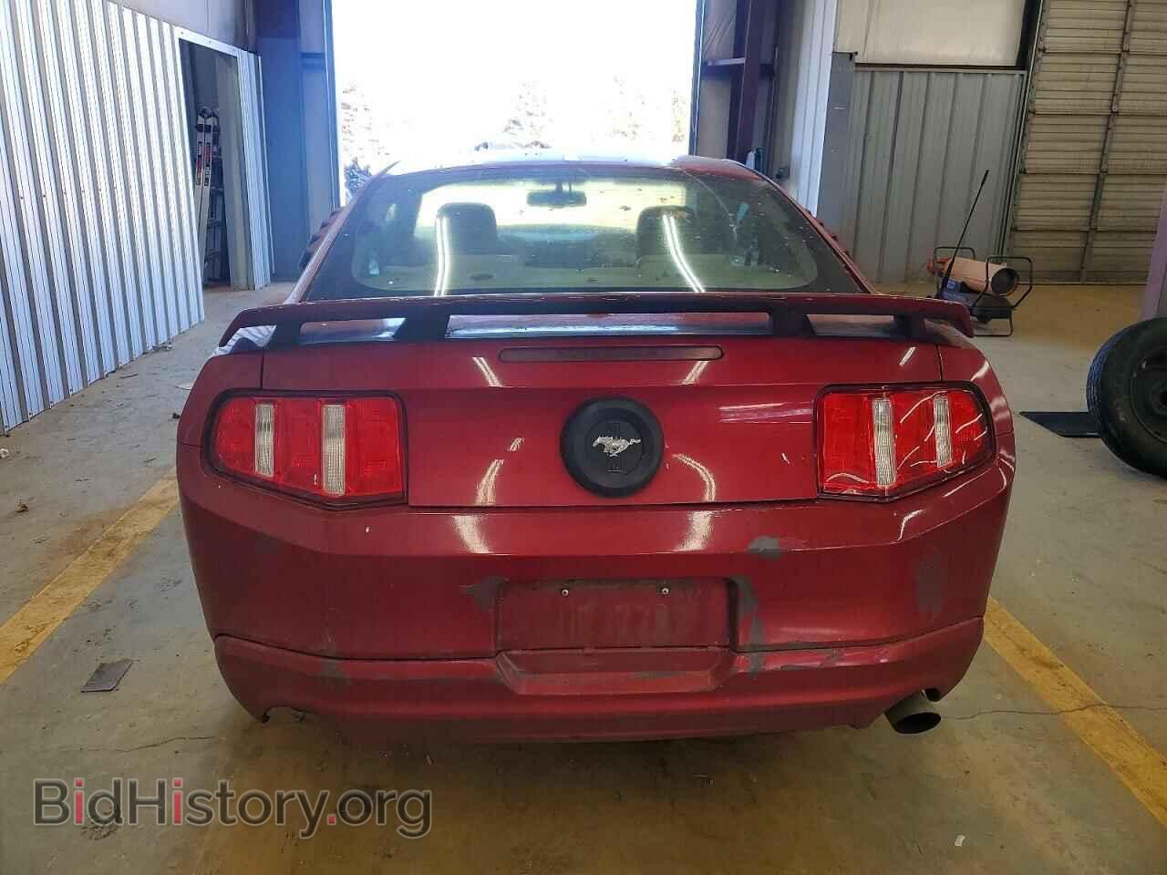 2010 FORD ALL Models - VIN: 1ZVBP8AN4A5105039 - Фото 6