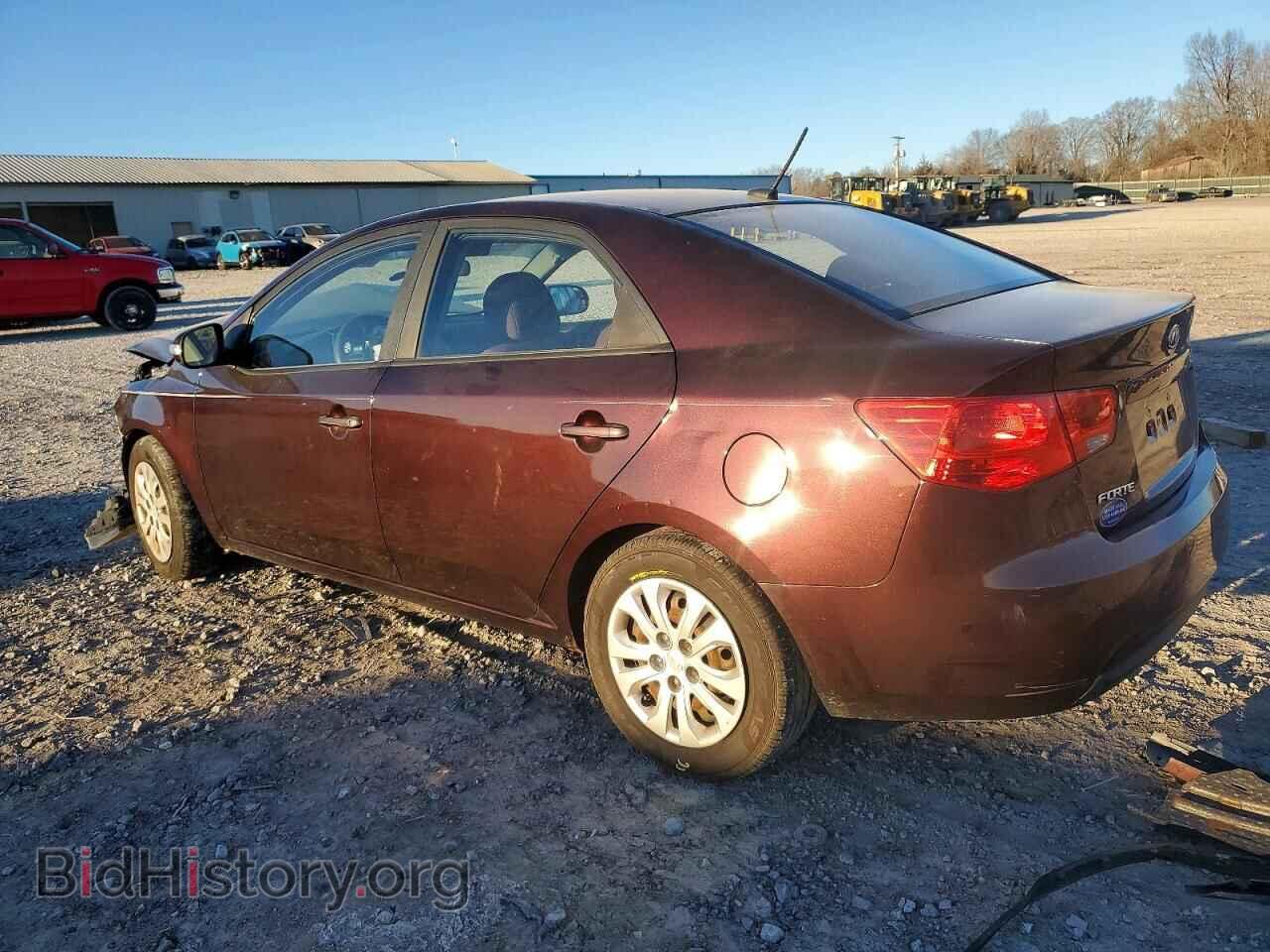 2010 KIA FORTE - VIN: KNAFU4A24A5100500 - Фото 2