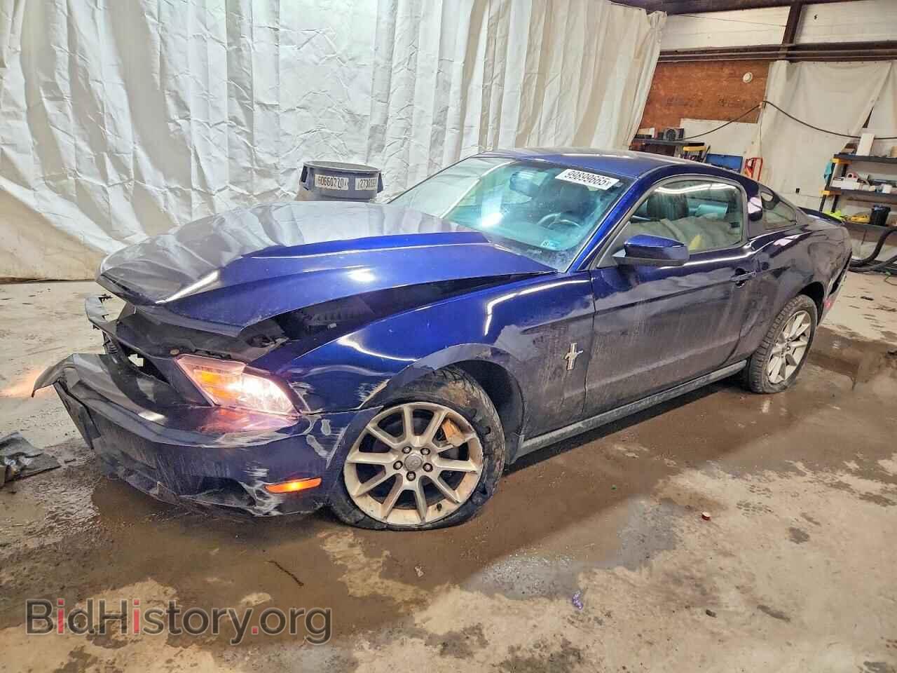 Photo 1ZVBP8AN1A5134319 - FORD ALL Models 2010