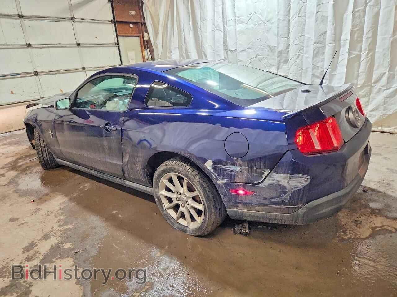 2010 FORD ALL Models - VIN: 1ZVBP8AN1A5134319 - Фото 2