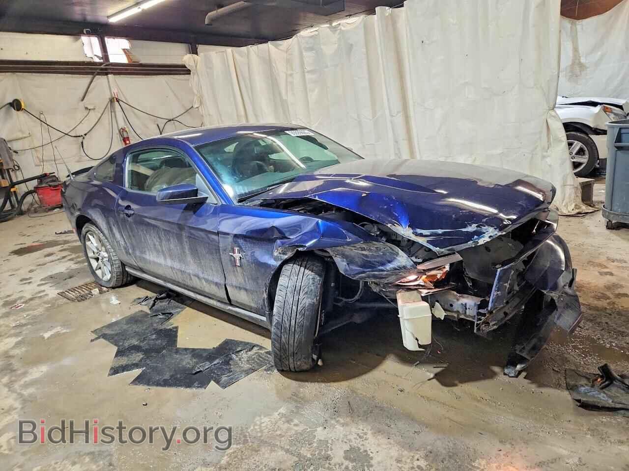 2010 FORD ALL Models - VIN: 1ZVBP8AN1A5134319 - Фото 4