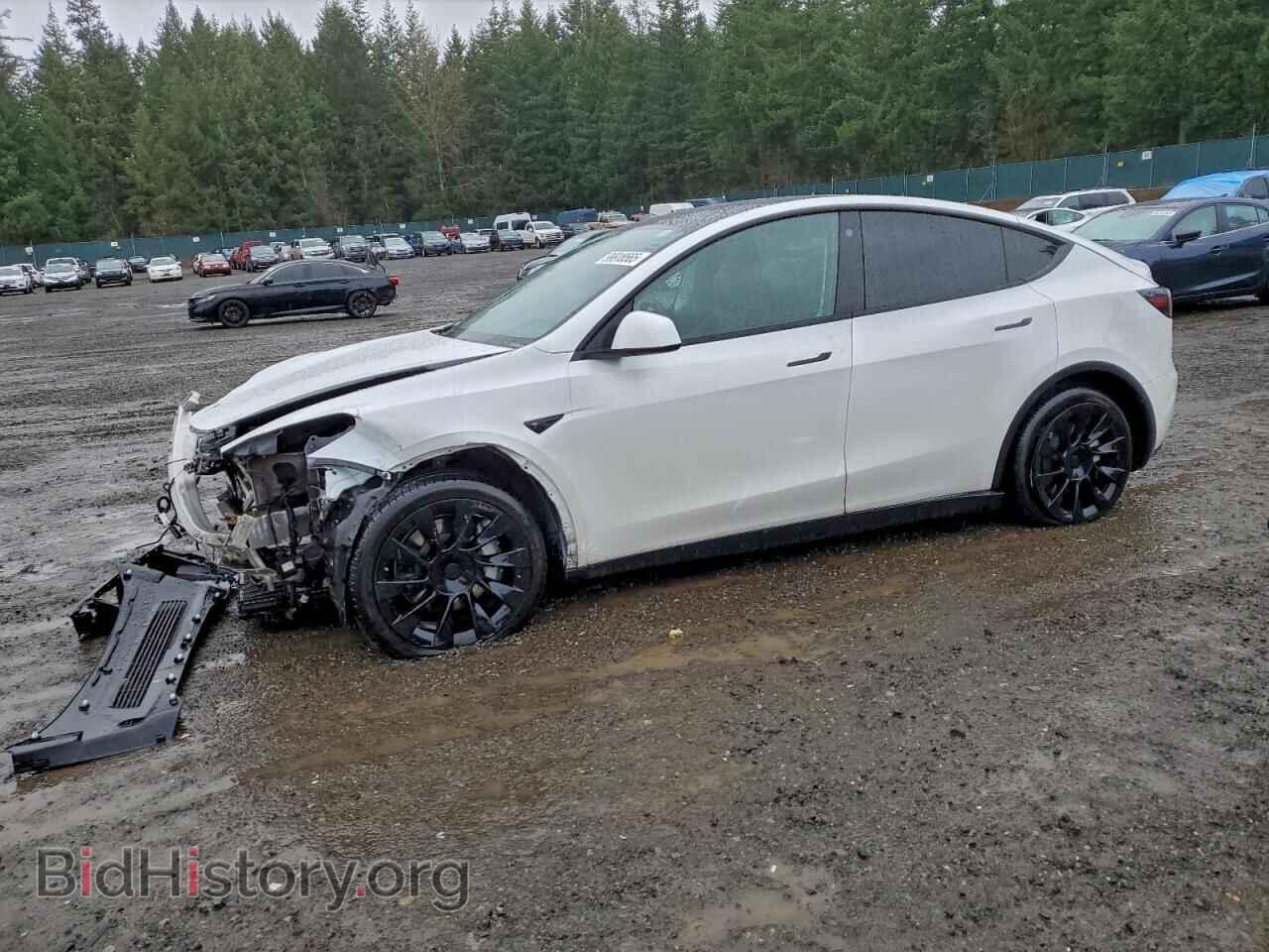 Photo 5YJYGDEE3MF286654 - TESLA MODEL Y 2021