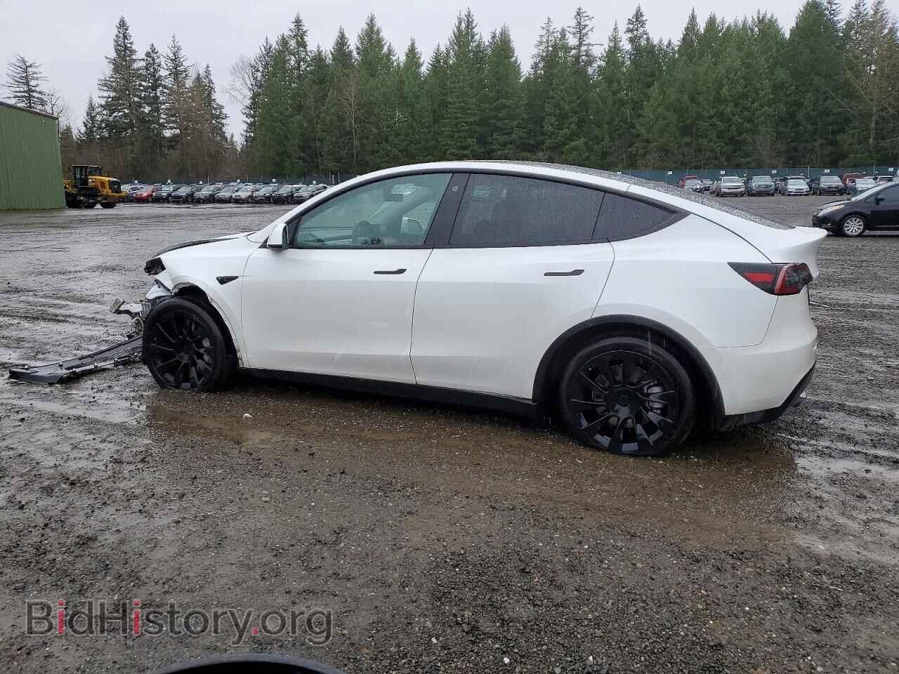 2021 TESLA MODEL Y - VIN: 5YJYGDEE3MF286654 - Фото 2