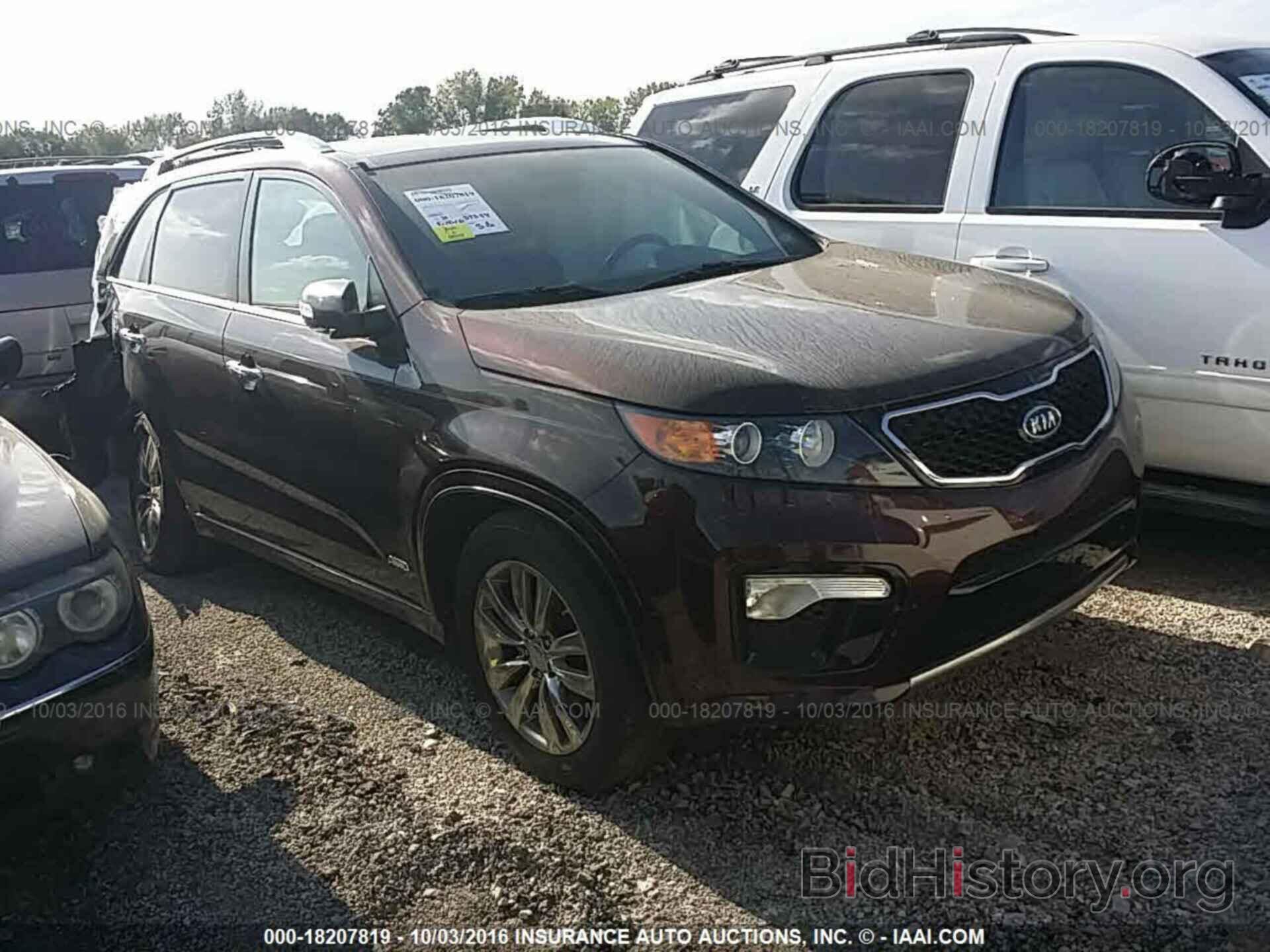 Photo 5XYKWDA22BG121558 - Kia Sorento 2011