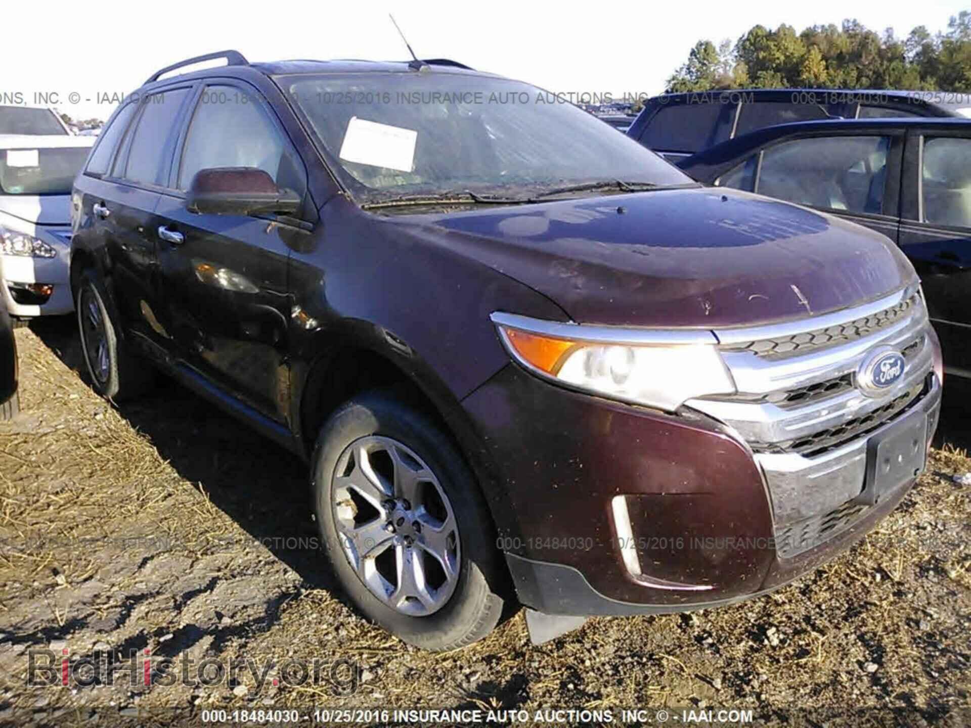 Photo 2FMDK3JC2BBB10003 - Ford Edge 2011