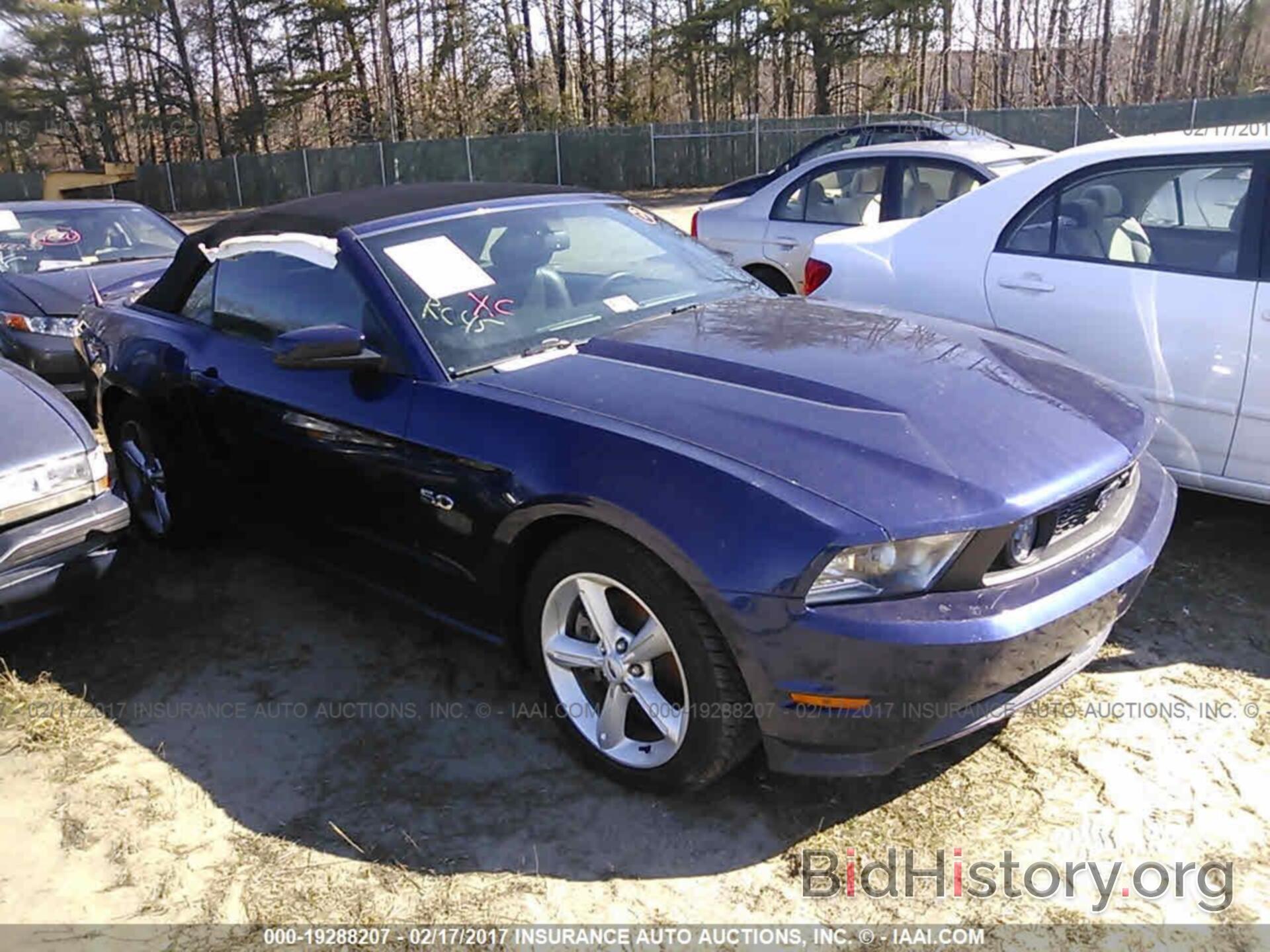 Photo 1ZVBP8FF5C5238560 - FORD MUSTANG 2012