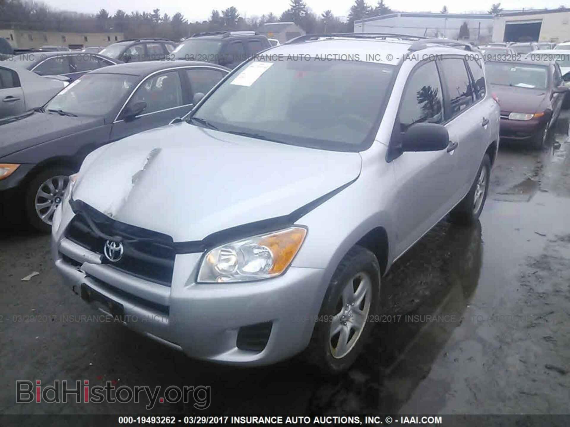 2011 Toyota Rav4 - VIN: 2T3BF4DV6BW142274 - Фото 2