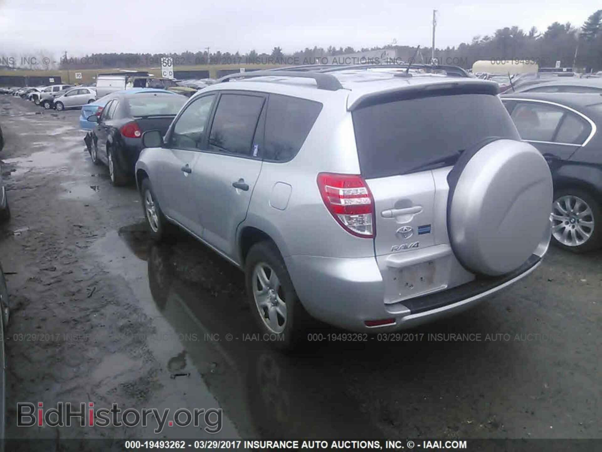 2011 Toyota Rav4 - VIN: 2T3BF4DV6BW142274 - Фото 3