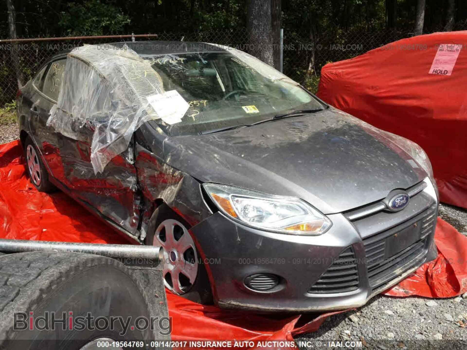 Photo 1FADP3E23DL167469 - Ford Focus 2013