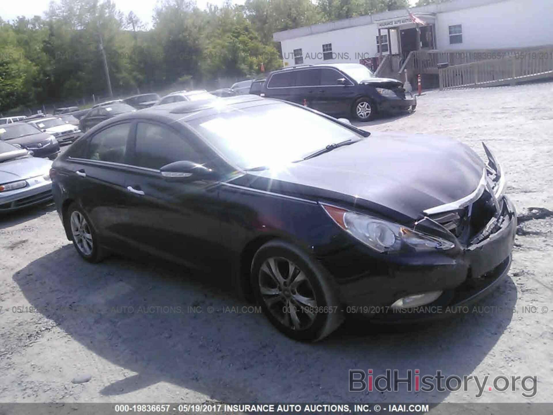 Photo 5NPEC4AC2DH701550 - Hyundai Sonata 2013