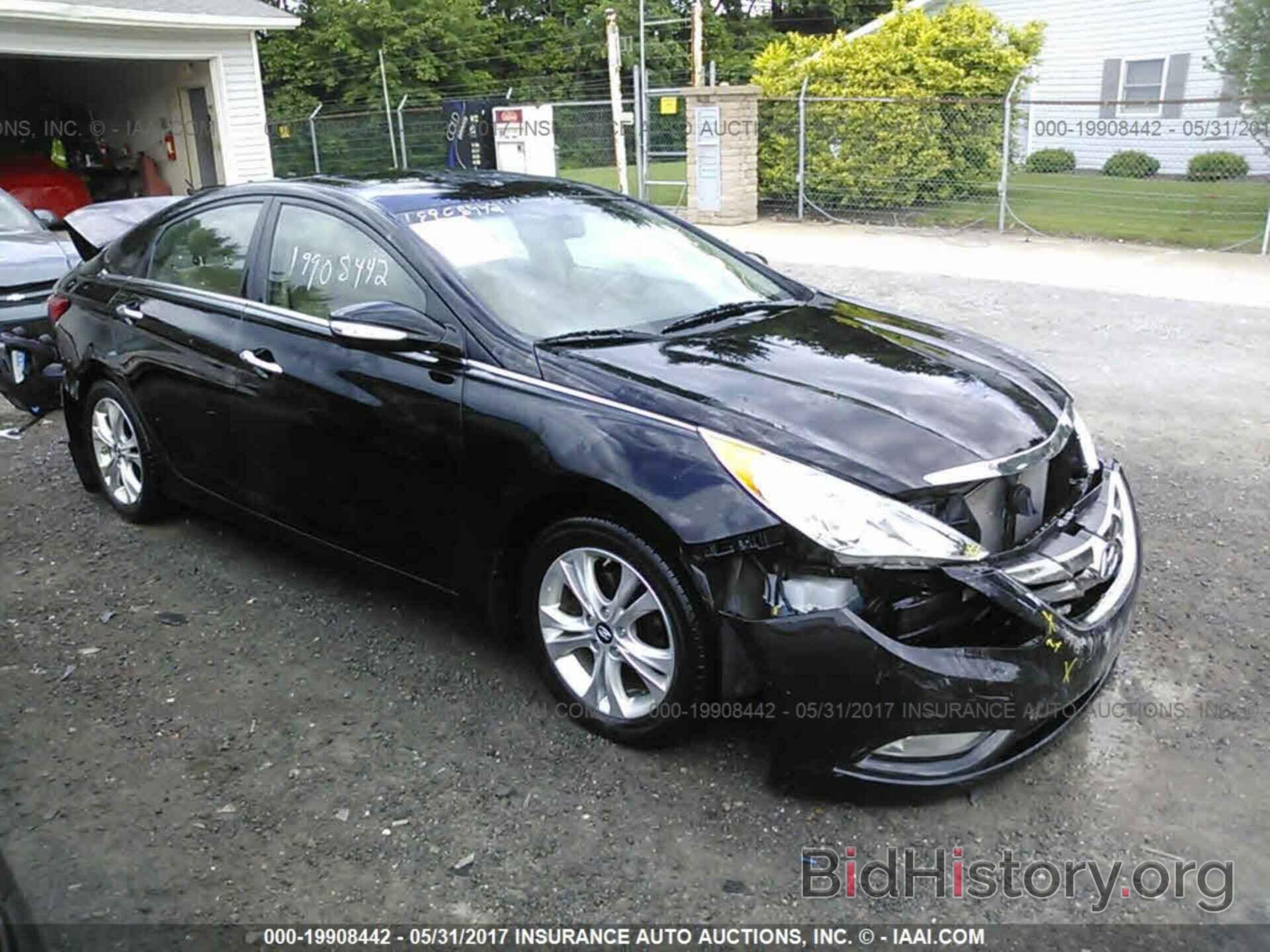 Photo 5NPEC4AC8DH677299 - Hyundai Sonata 2013