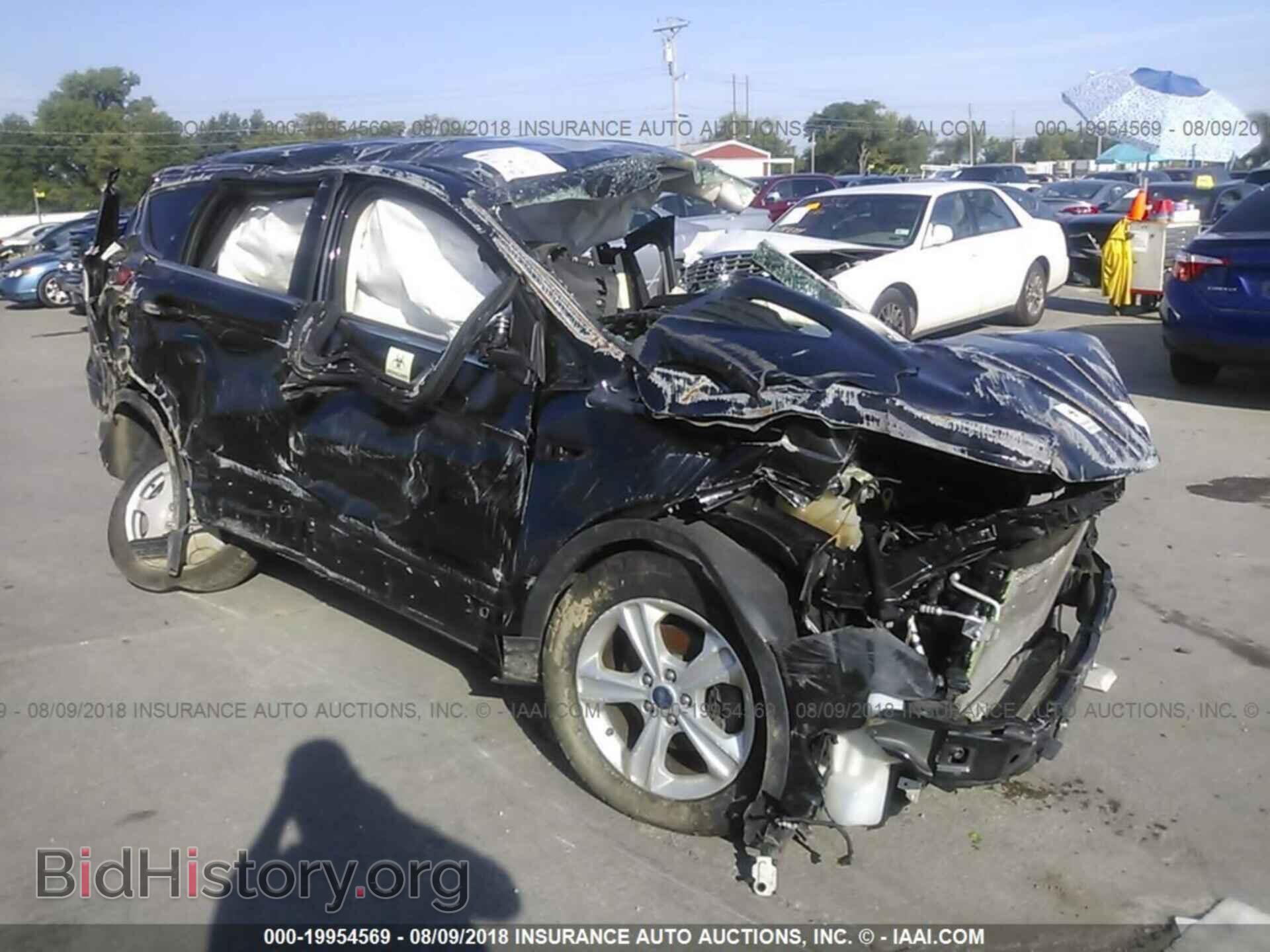 Photo 1FMCU0GX8DUB82884 - Ford Escape 2013