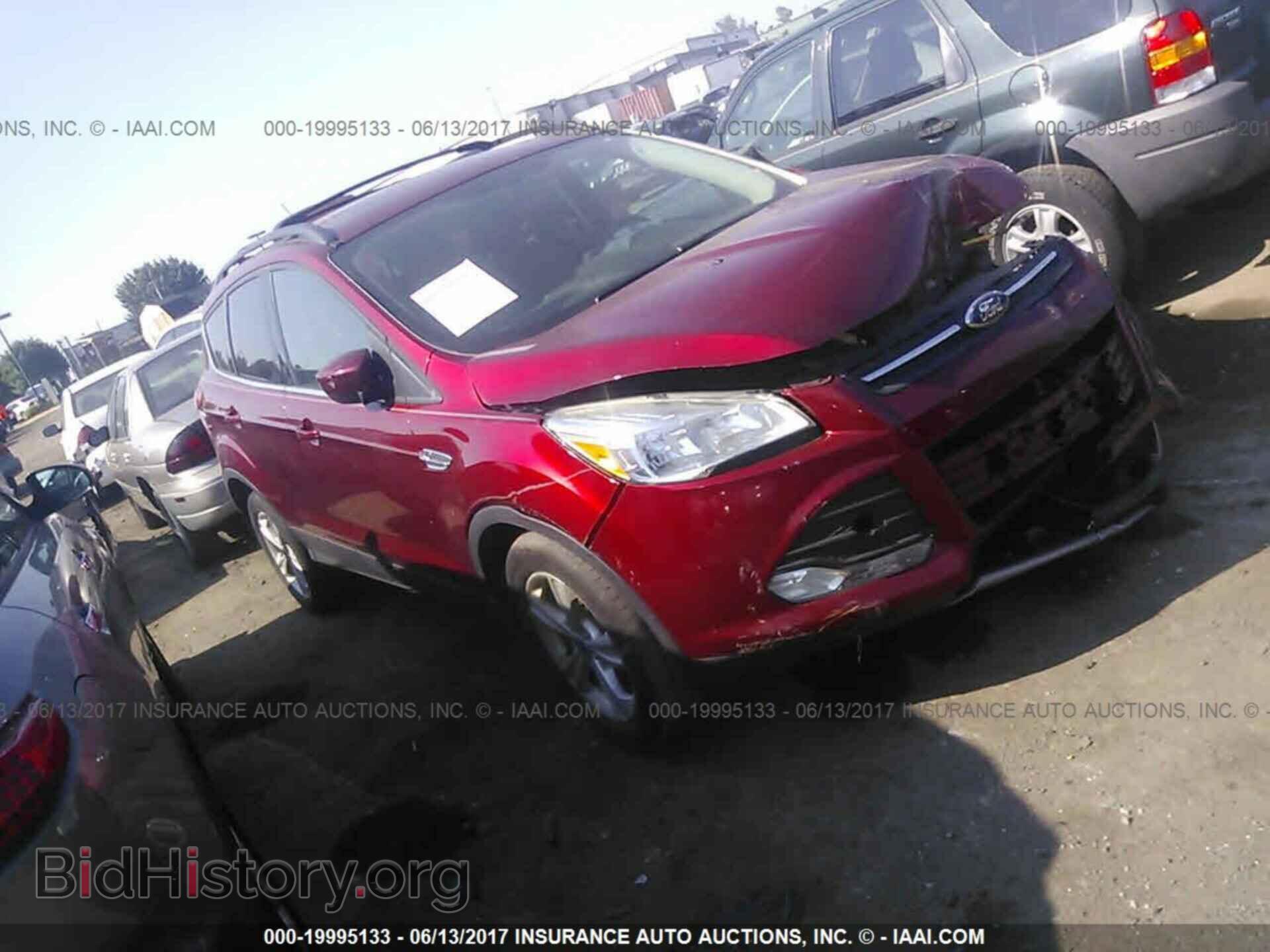 Photo 1FMCU9GX1DUB12406 - Ford Escape 2013