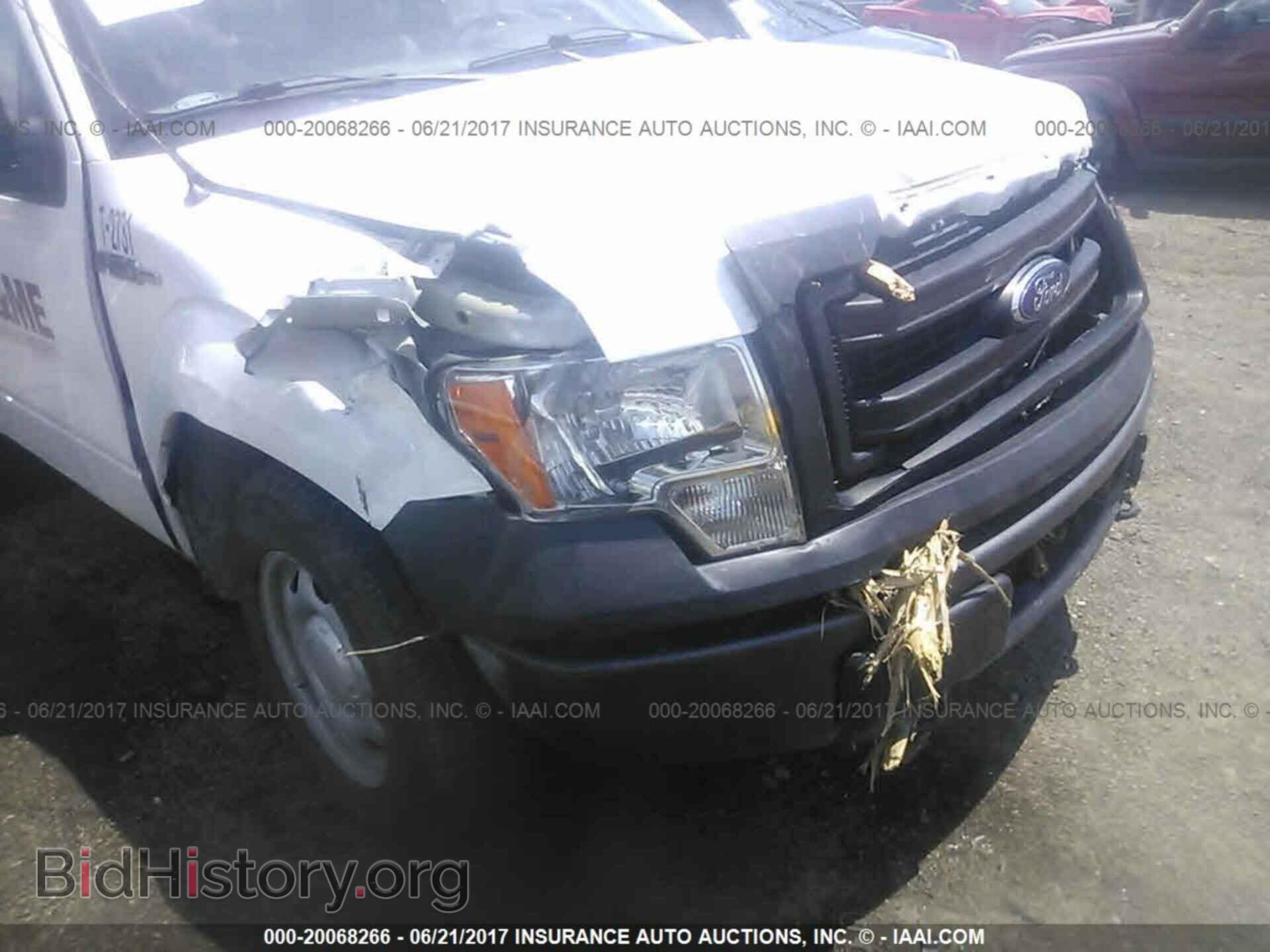 2014 Ford F150 - VIN: 1FTMF1EMXEKF10305 - Фото 6