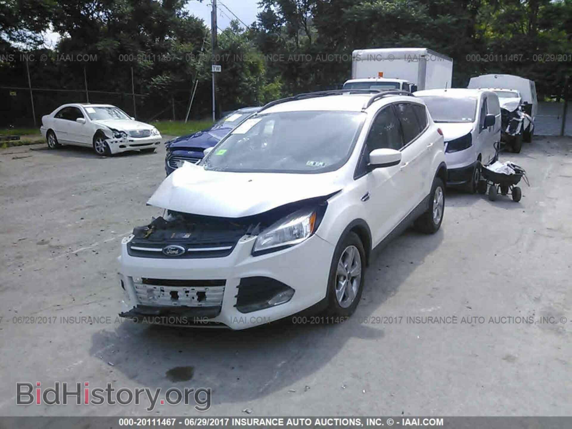 2013 Ford Escape - VIN: 1FMCU0GX4DUA83656 - Фото 2
