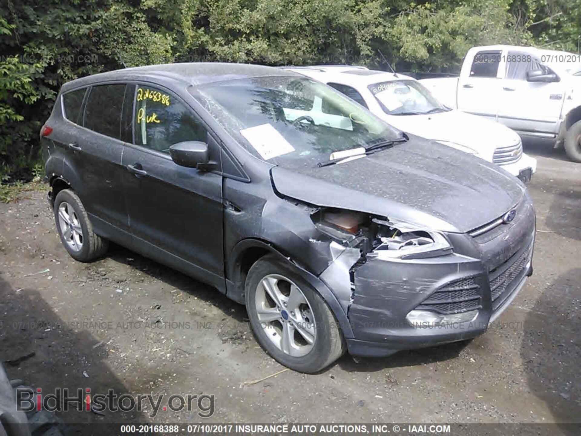 Photo 1FMCU9GX5DUD54325 - Ford Escape 2013