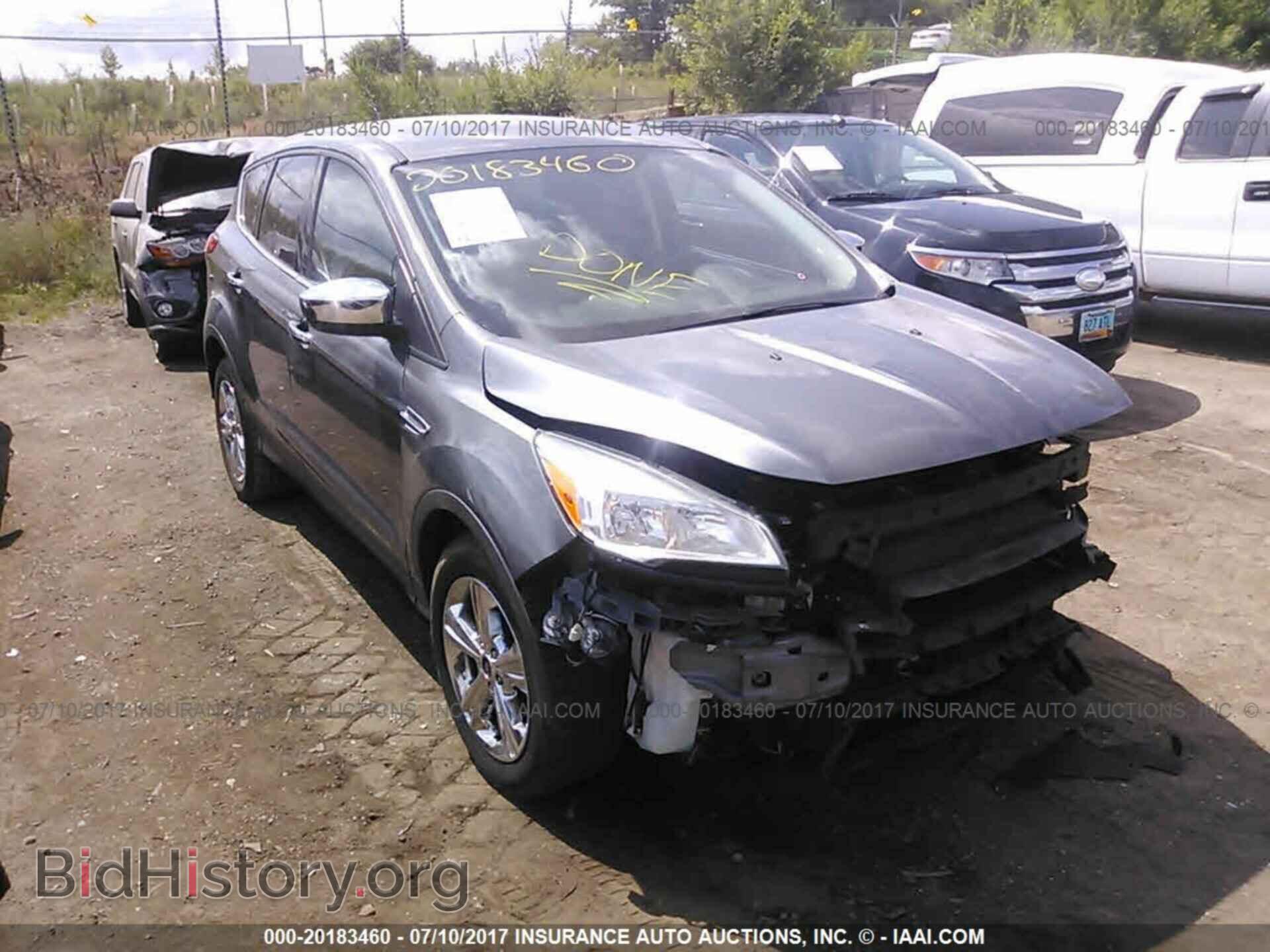 Фотография 1FMCU0GXXDUC48769 - Ford Escape 2013