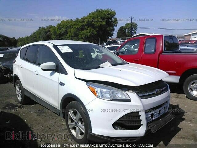 Photo 1FMCU9GX1EUD58356 - Ford Escape 2014