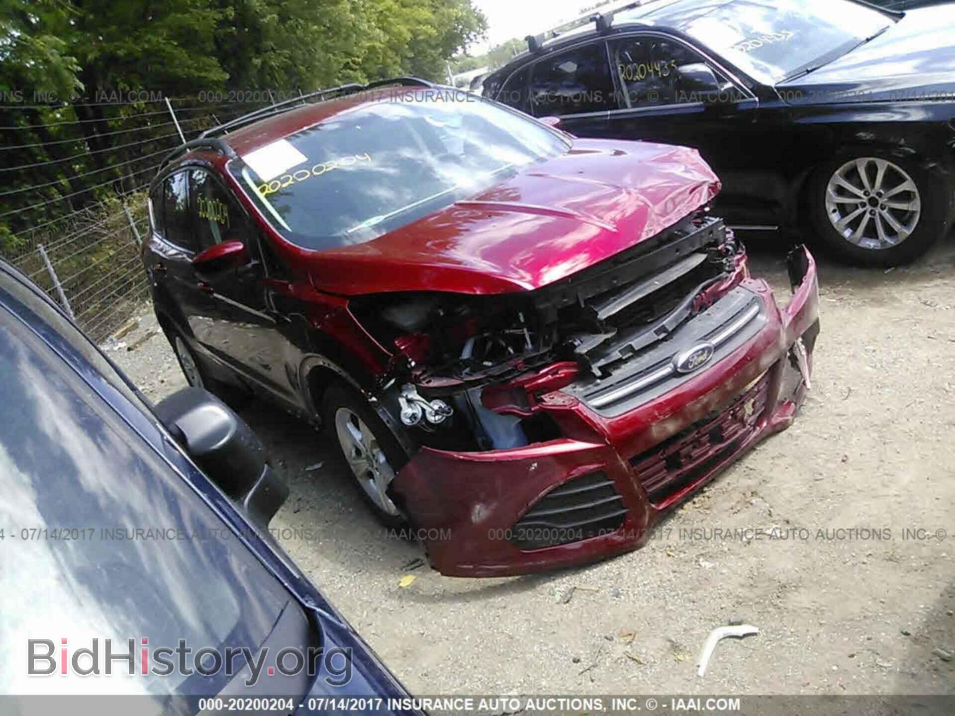 Фотография 1FMCU0GX5DUC22032 - Ford Escape 2013