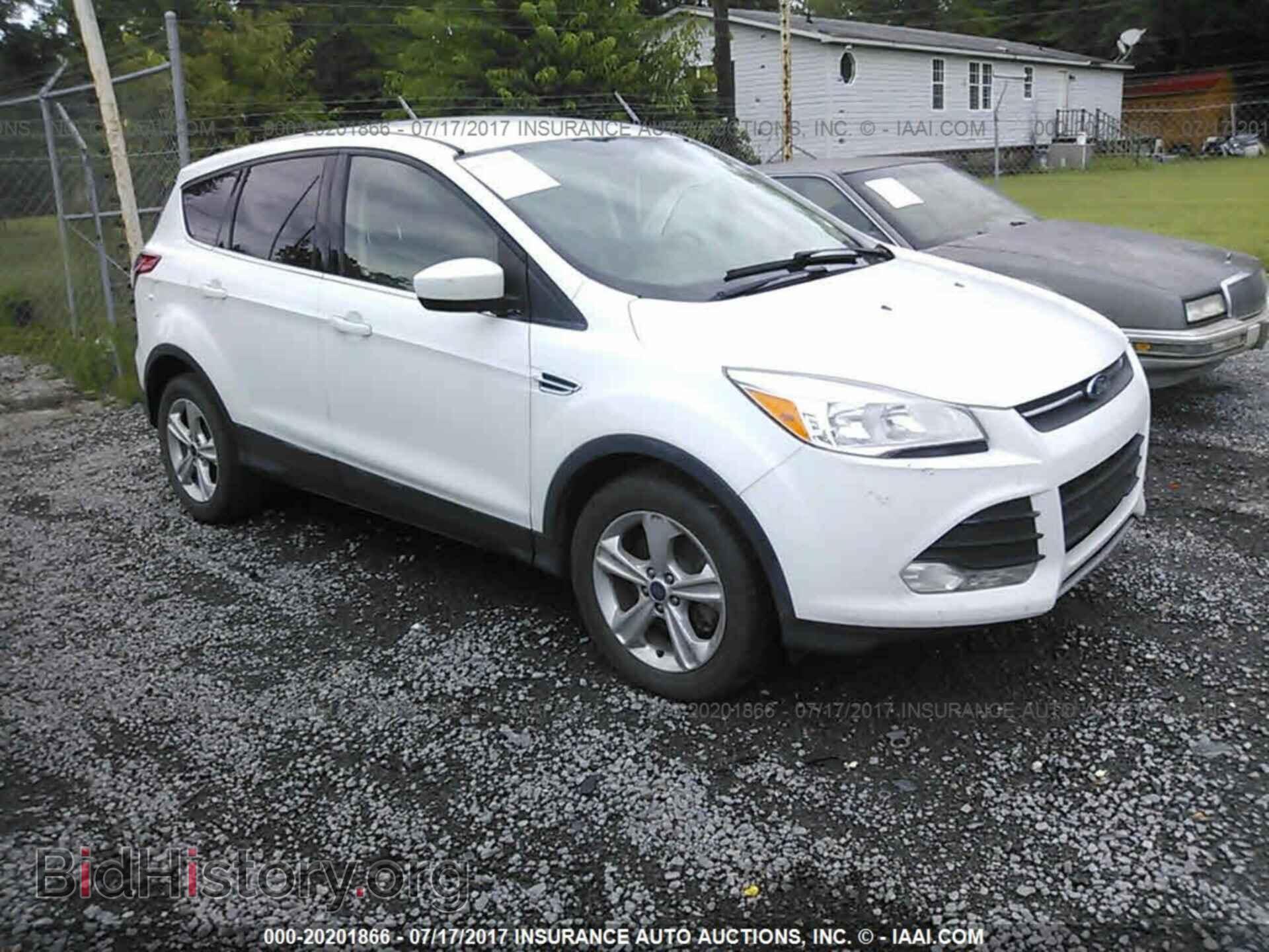 Photo 1FMCU0G90DUA74082 - Ford Escape 2013