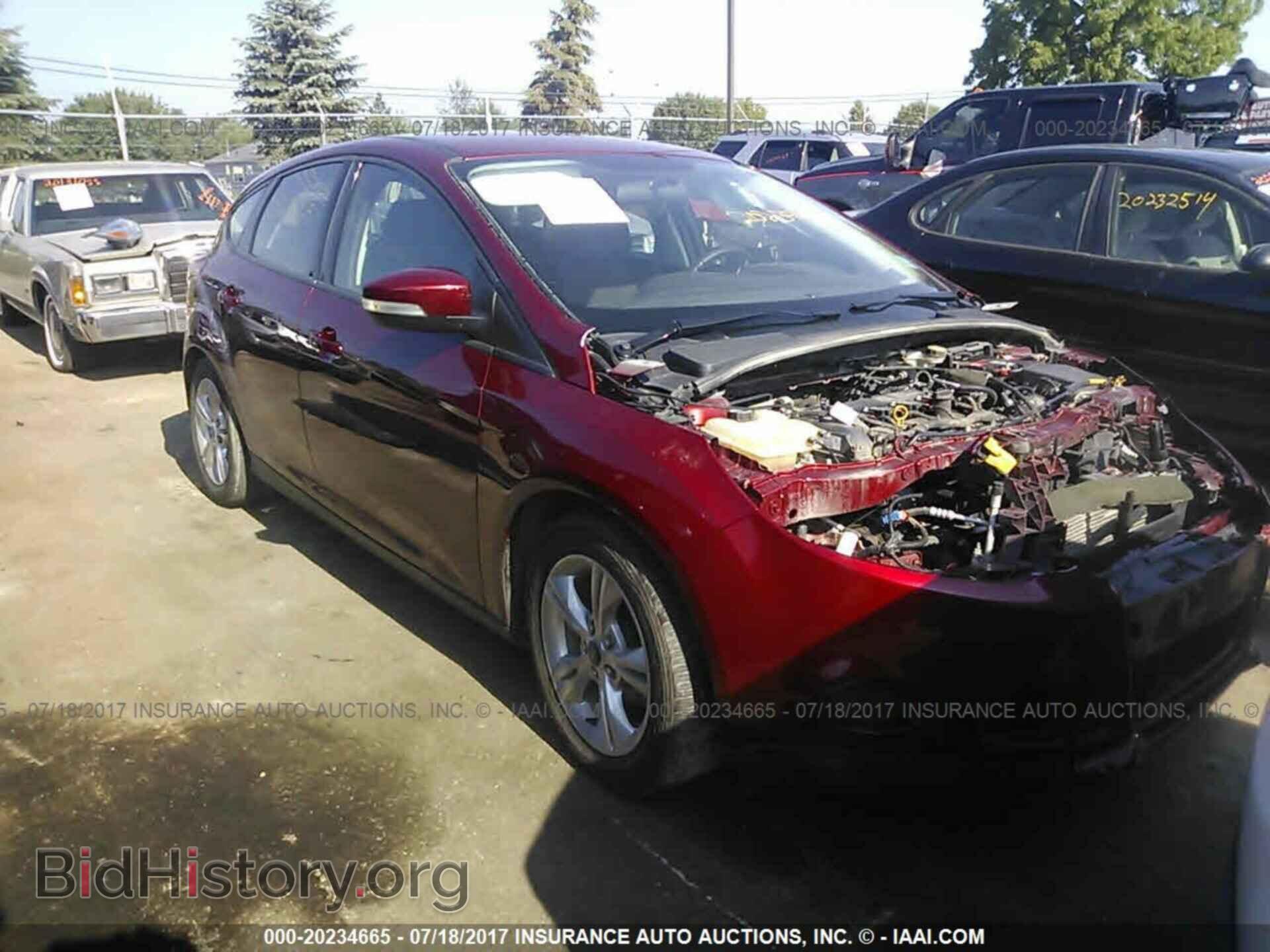 Фотография 1FADP3K23DL283646 - Ford Focus 2013