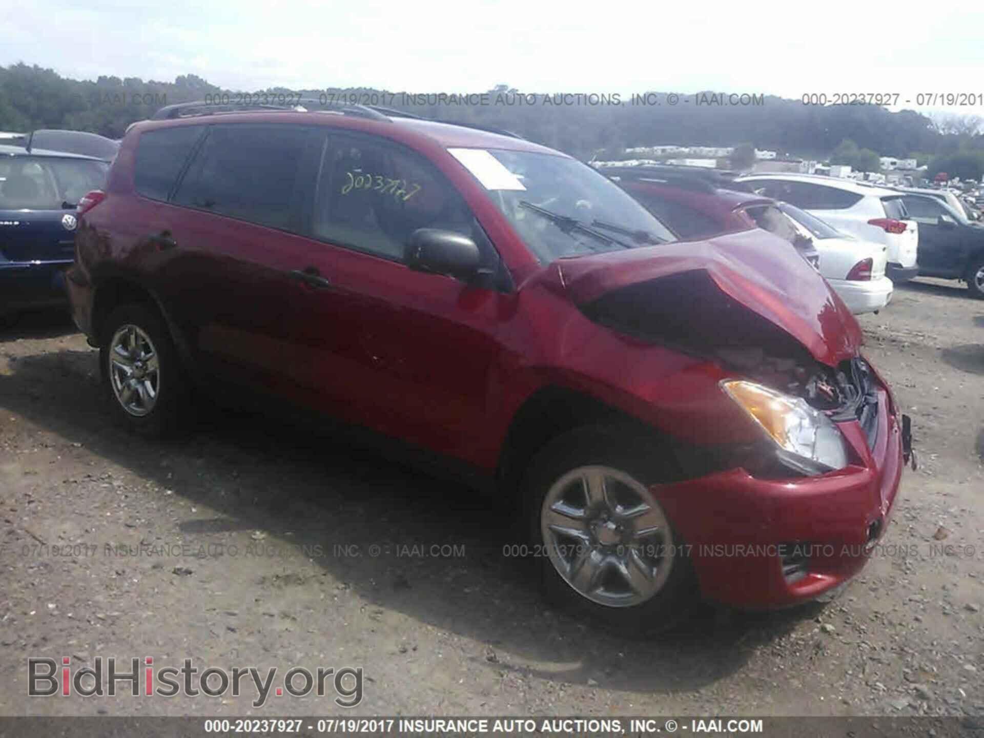 Фотография 2T3BF4DV8CW195141 - Toyota Rav4 2012