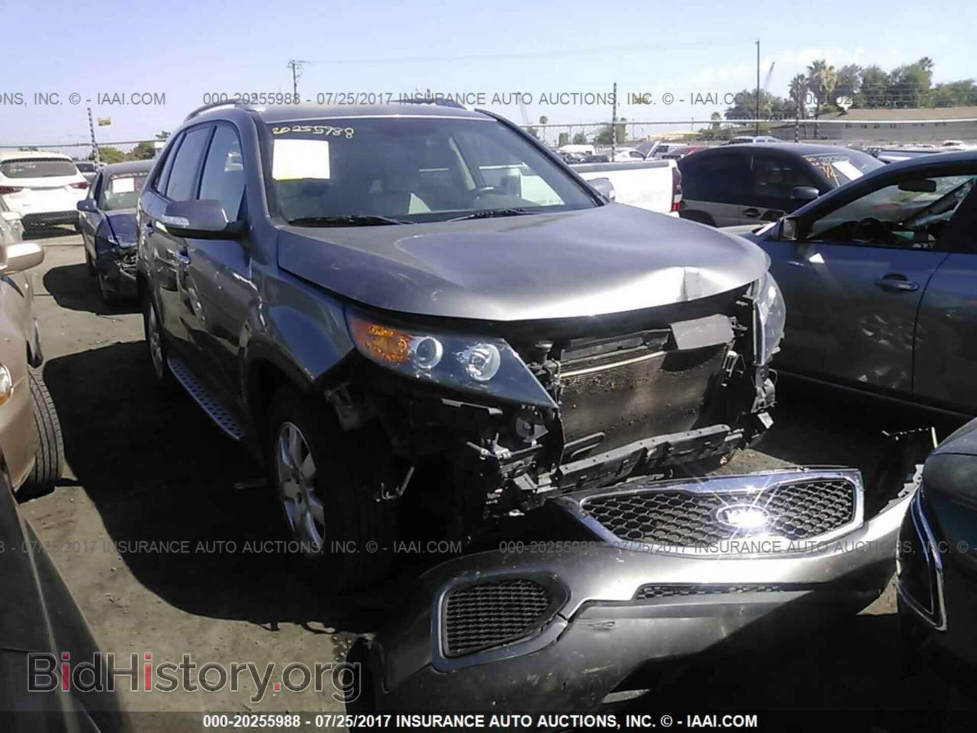 Фотография 5XYKTDA29CG270656 - Kia Sorento 2012
