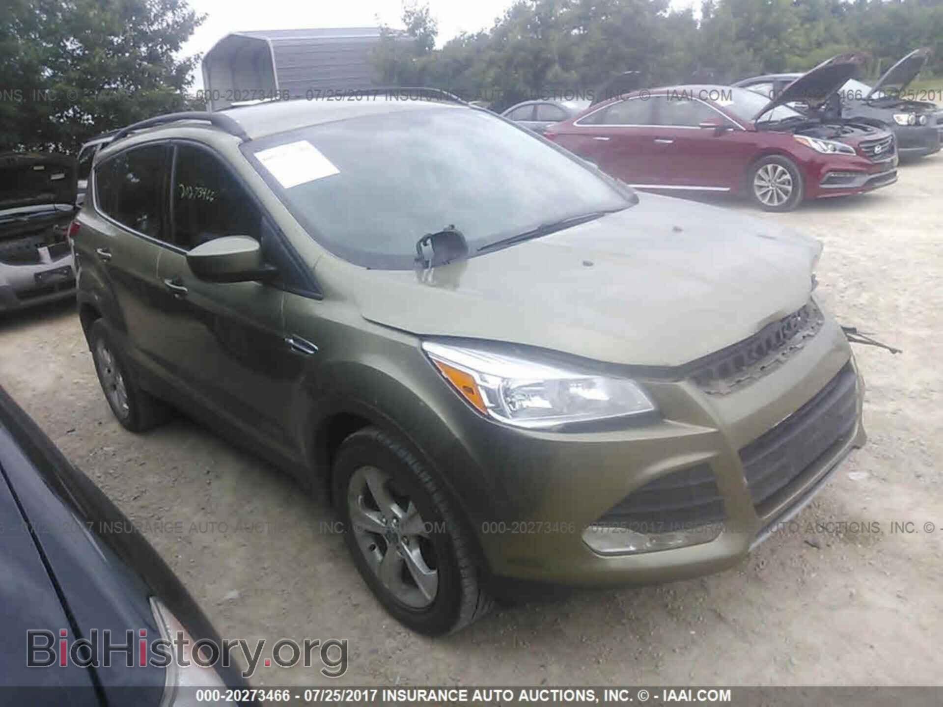 Photo 1FMCU9G99DUB17726 - Ford Escape 2013