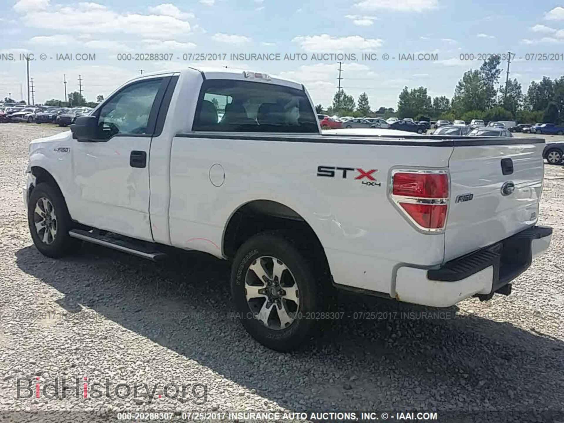 2013 Ford F150 - VIN: 1FTMF1EF4DFB65832 - Фото 3