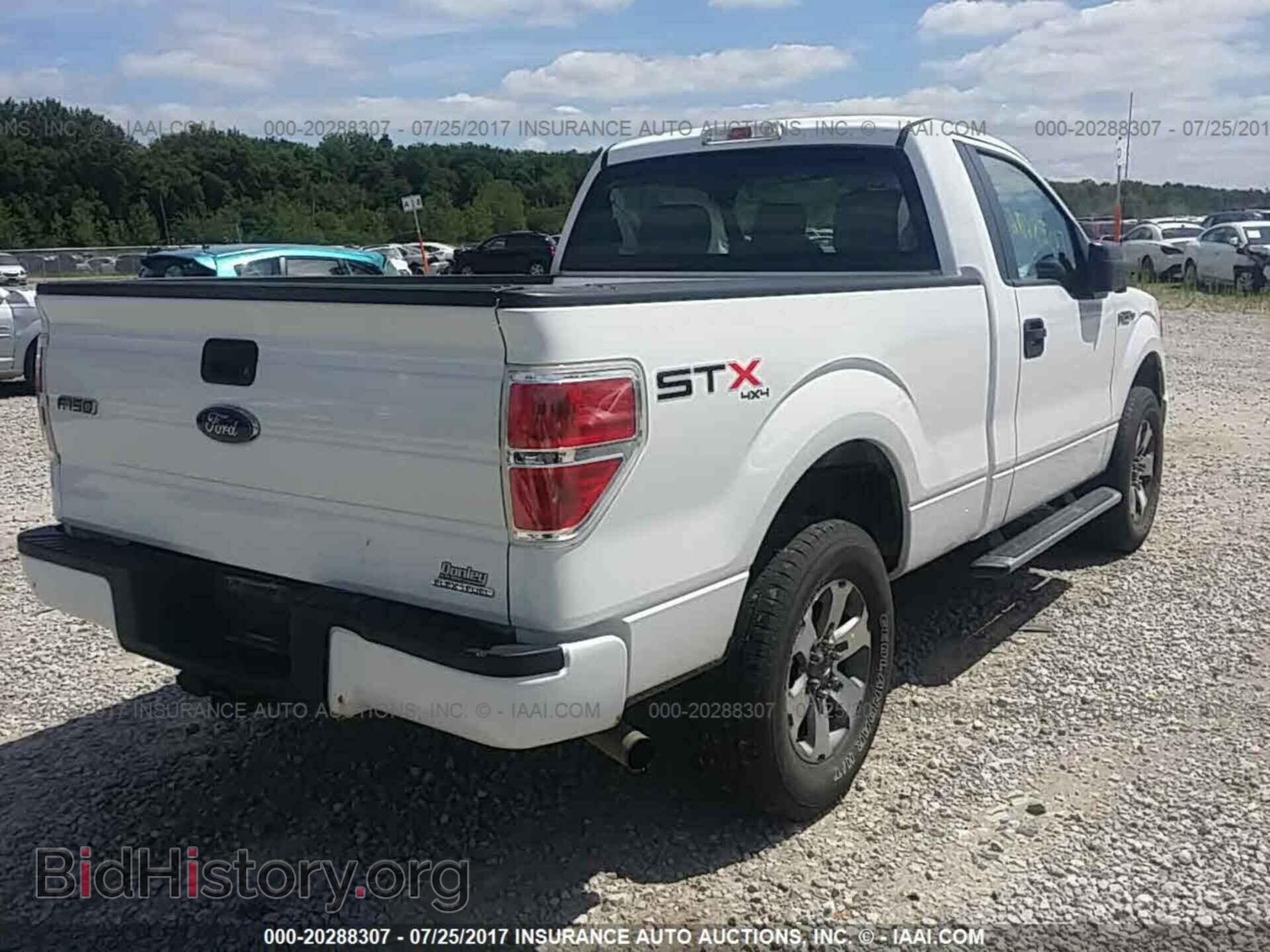 2013 Ford F150 - VIN: 1FTMF1EF4DFB65832 - Фото 4