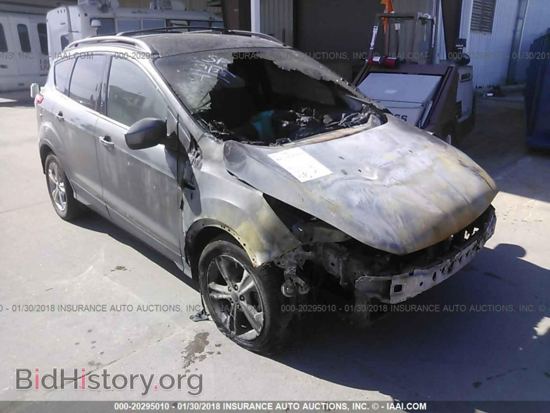 Photo 1FMCU0GXXDUD85579 - Ford Escape 2013