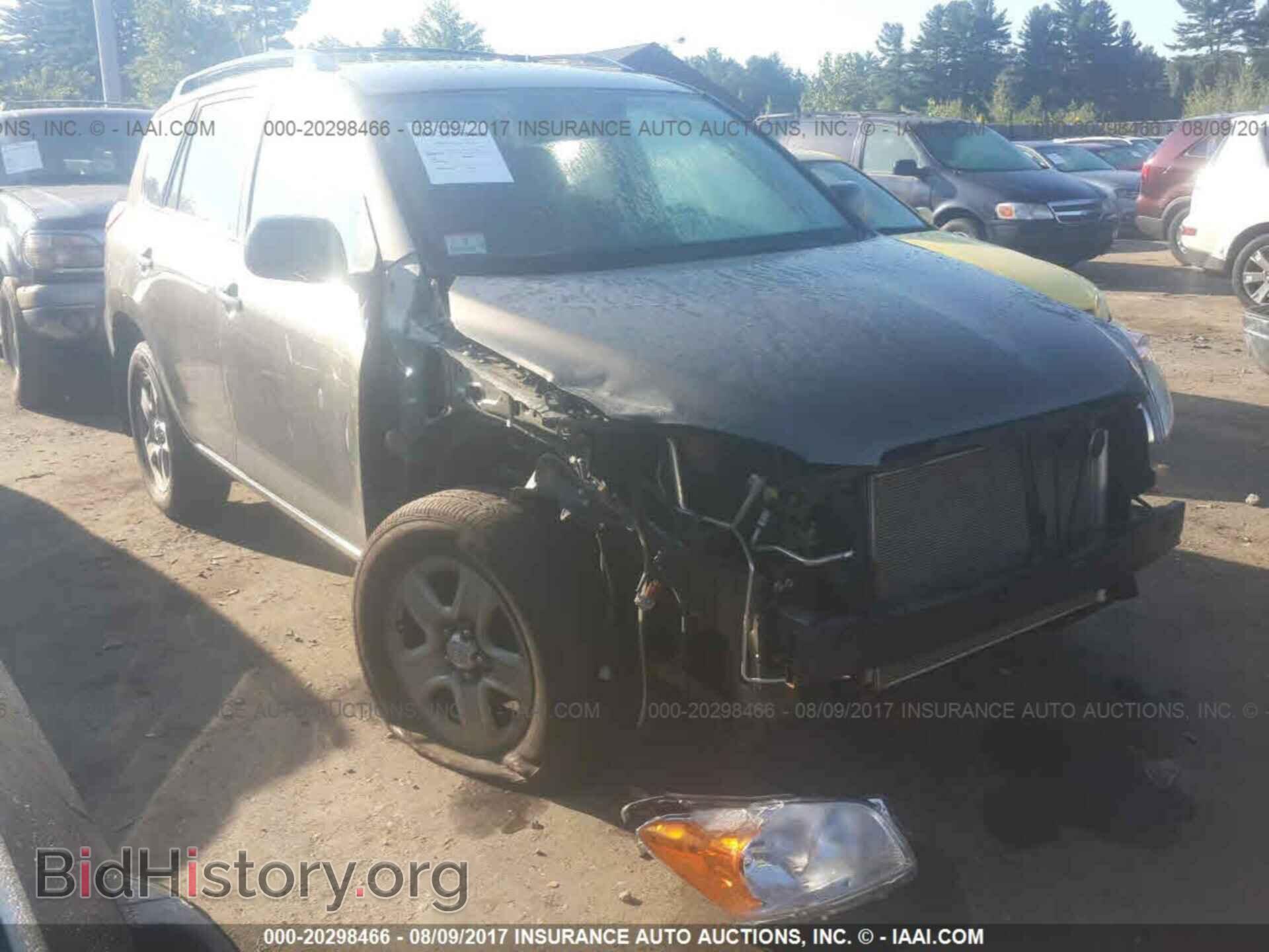Фотография 2T3BF4DV5CW182105 - Toyota Rav4 2012