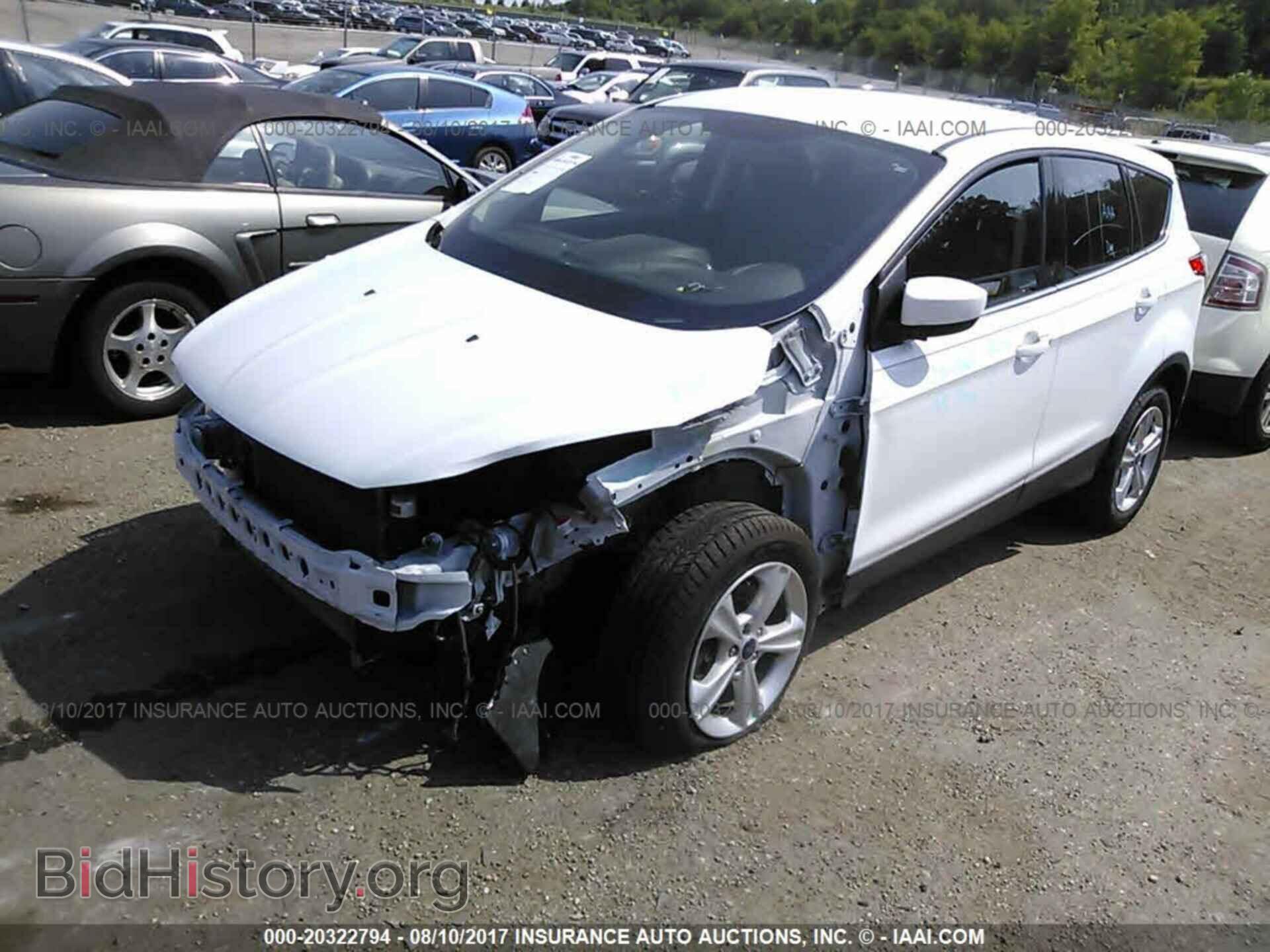 2013 Ford Escape - VIN: 1FMCU9G91DUD34266 - Фото 2