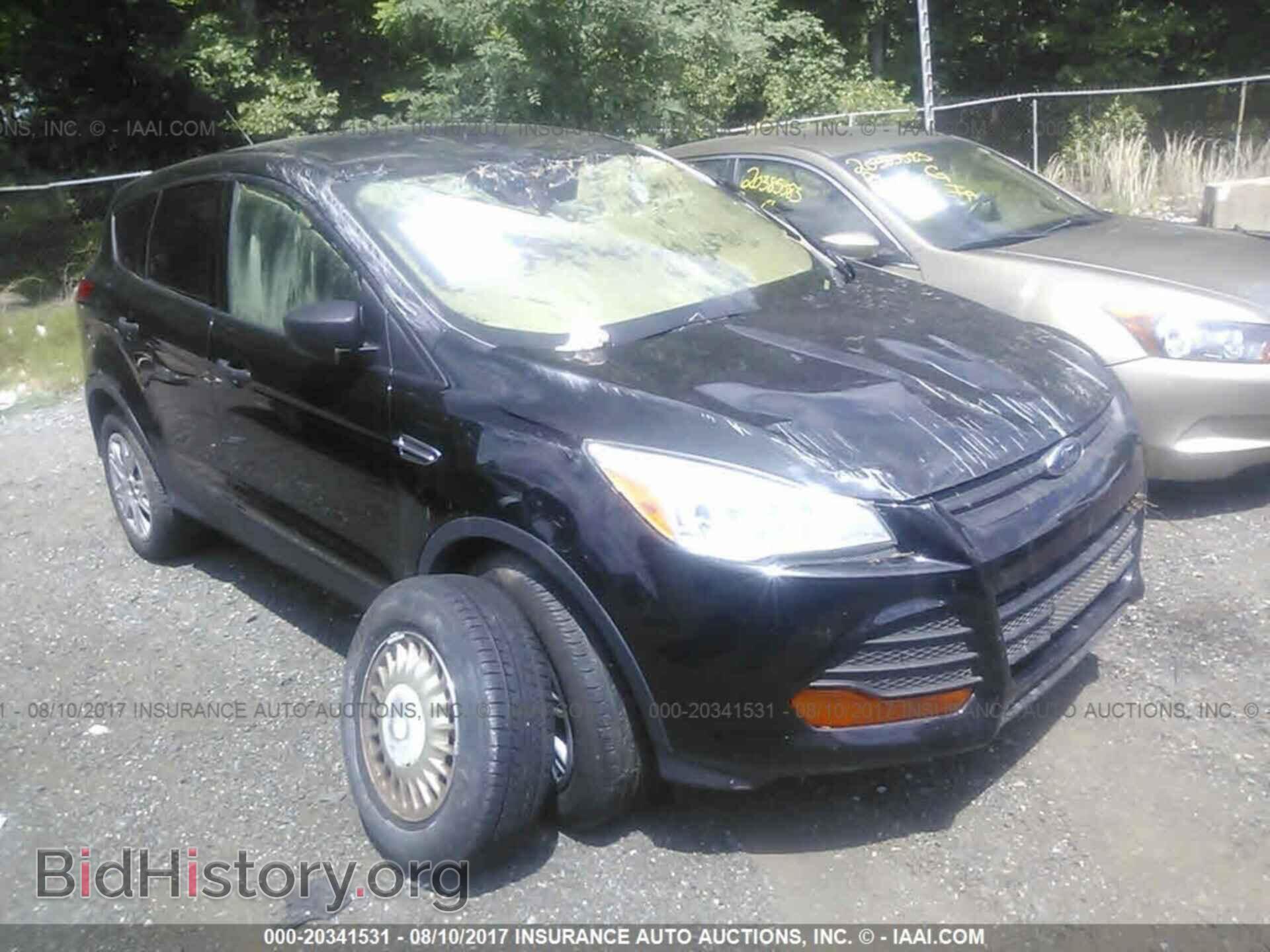 Photo 1FMCU0F79DUC59599 - Ford Escape 2013